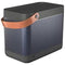 Bang & Olufsen Beolit 12