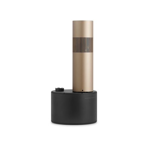 Bang & Olufsen Beosound Bollard
