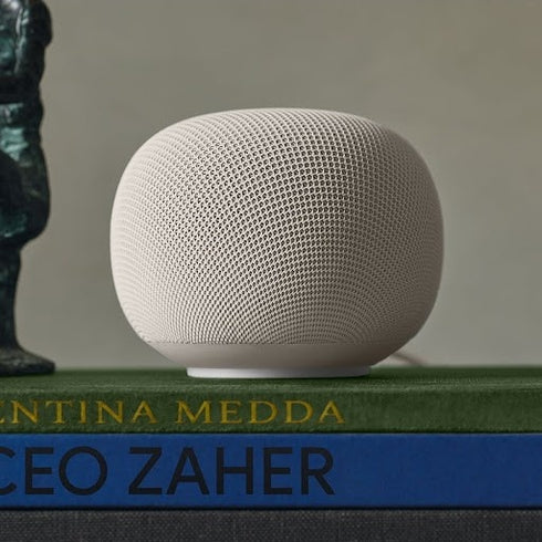 Google Home Speaker