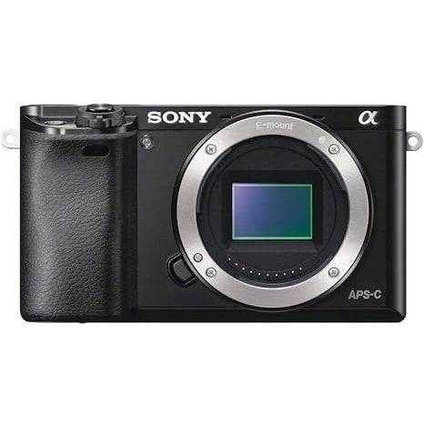 Sony Alpha A6000 Body