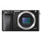 Sony Alpha A6000 Body