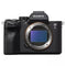 Sony Alpha A7S III Body