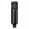 Sony C-80 Studio Microphone