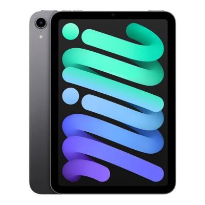 iPad mini (6th generation) 64GB Wi-Fi