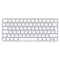 Apple Magic Keyboard with Lock Key (Lightning, A2450)