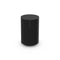 Sonos Era 100 Pro (Pair)