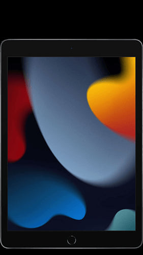 iPad 9th Gen Wi-Fi 256GB