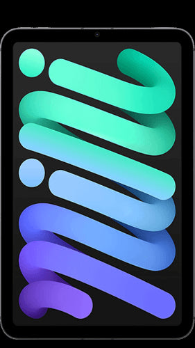 iPad Mini 6 256GB Wi-Fi + Cellular