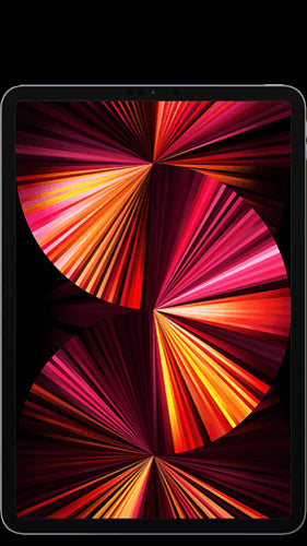 iPad Pro 11" 3rd Gen 512GB Wi-Fi + Cellular