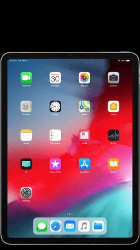 iPad Pro 11" 1st Gen 1TB Wi-Fi