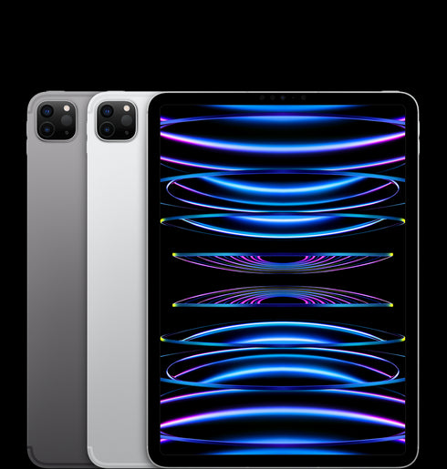 iPad Pro 11" 4th Gen 256GB Wi-Fi