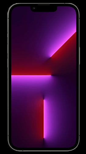 iPhone 13 Pro Max 256GB